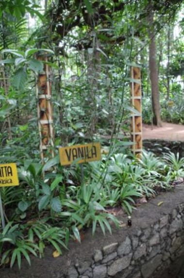 New Ranweli Spice Garden-2